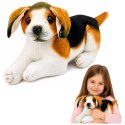 Pluszowy Piesek Beagle Przytulanka Maskotka Pluszak Pies Miękki 25 cm