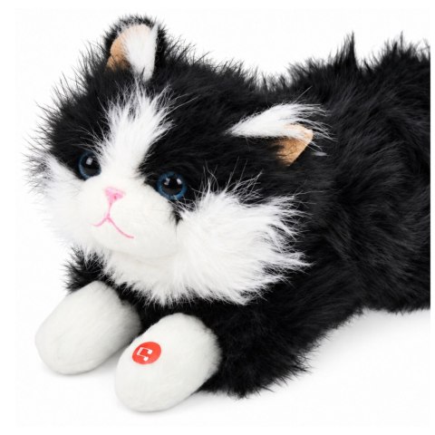 Pluszowy Kotek Maskotka Przytulanka Dźwięki Miauczenia Biało-Czarny 40cm