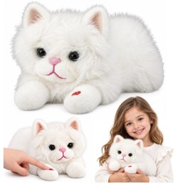 Pluszowy Kotek Maskotka Przytulanka Z Dźwiękami Miauczenia Biały 40cm
