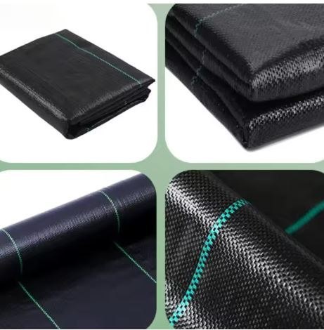 Agrotkanina Czarna 1100cm x 50m UV 135g Antychwastowa Agrowłóknina + Kotwy