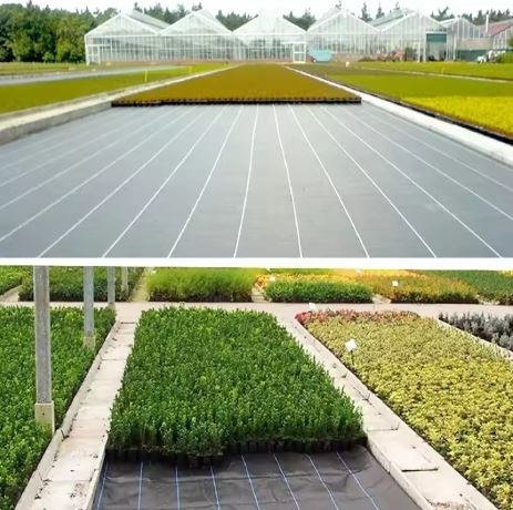 Agrotkanina Czarna 160cm x 50m UV 90g Antychwastowa Agrowłóknina + Kotwy