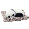 Śpiąca Panda Na Poduszce Figurka z Futerkiem Przeźroczysta Torba