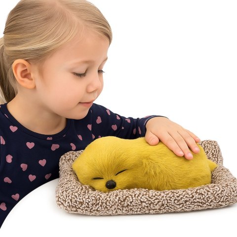 Śpiący Pies Labrador Na Poduszce Figurka z Futerkiem Torba Dźwięki