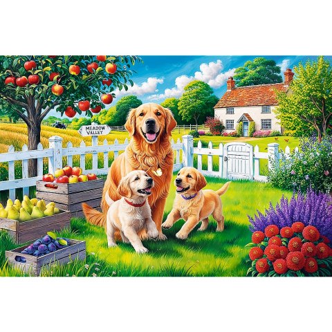 Puzzle - 300 EasyPiece - Pieski na wsi - Trefl 23101